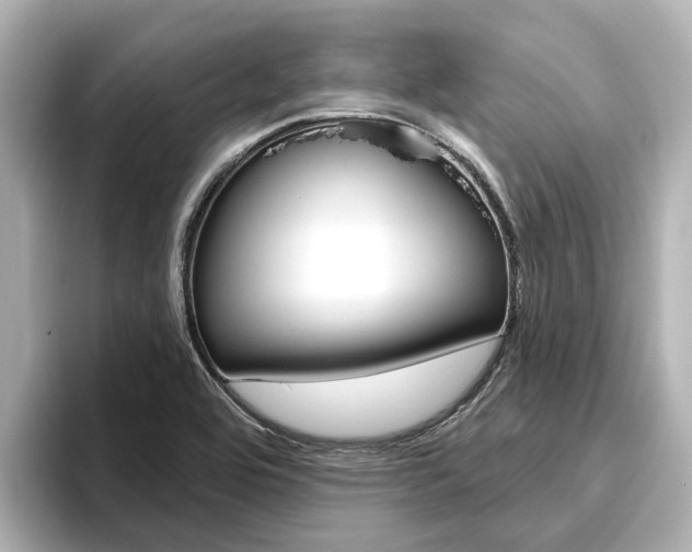 X0000096471464200801241128
