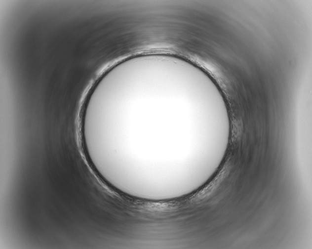 X0000096471470200801241128