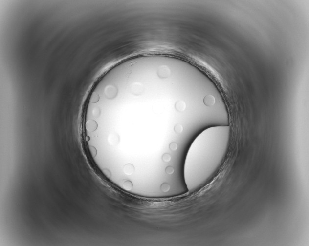 X0000096471471200801241128