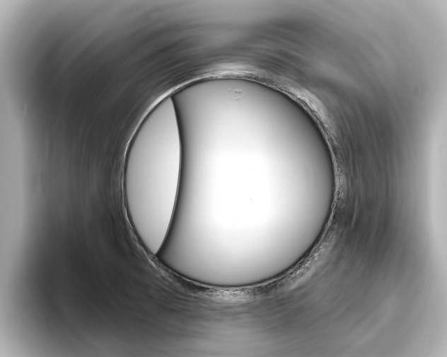 X0000096471473200801241128