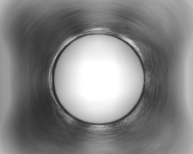 X0000096471474200801241128