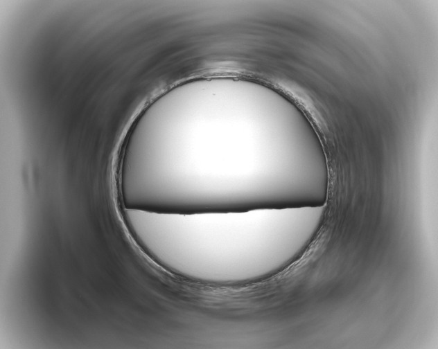 X0000096471475200801241128