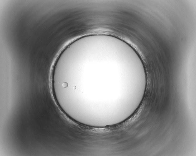 X0000096471478200801241128