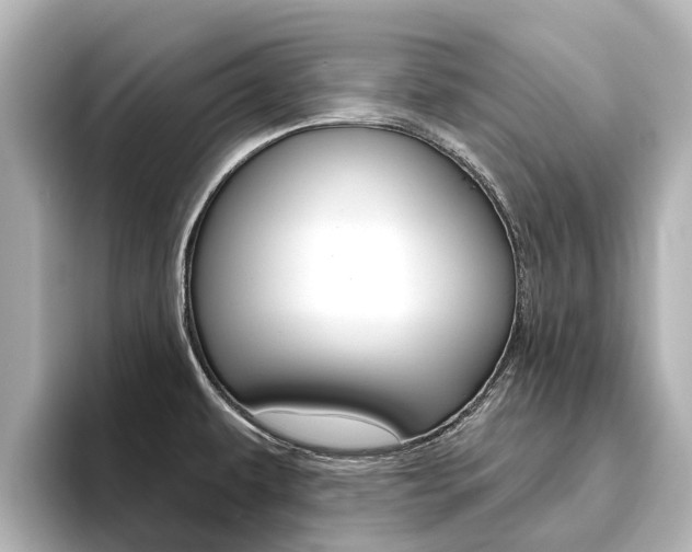 X0000096471479200801241128