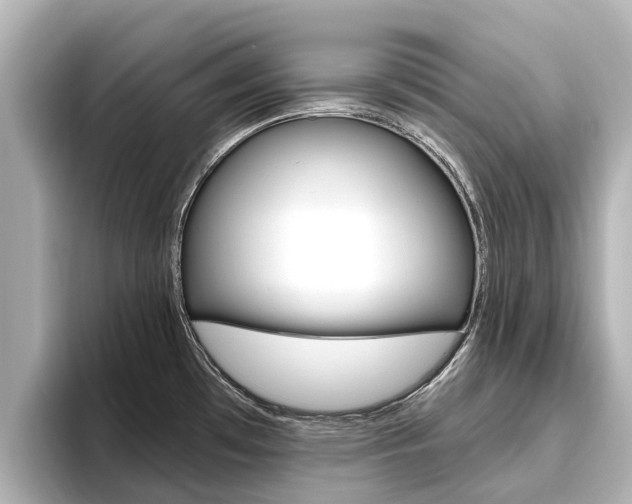 X0000096471481200801241128