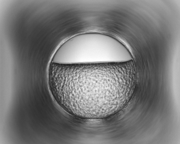 X0000096471483200801241128
