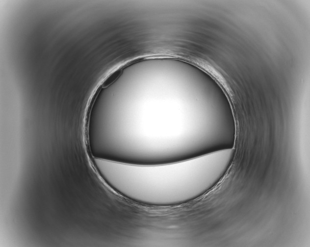 X0000096471485200801241128