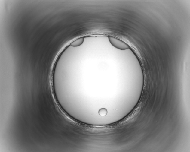 X0000096471486200801241128