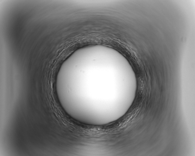 X0000096471489200801241127