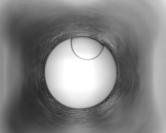X0000096471492200801241127
