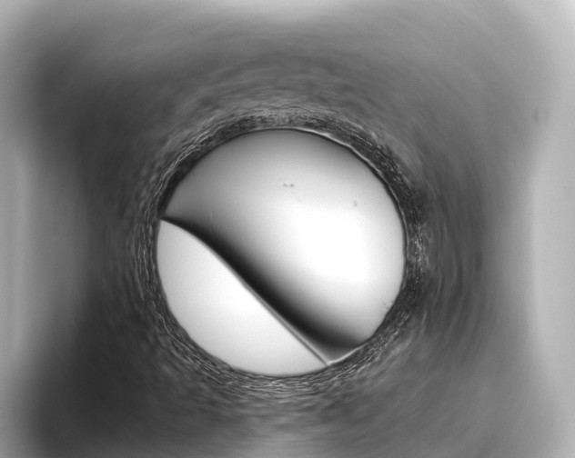 X0000096471493200801241127