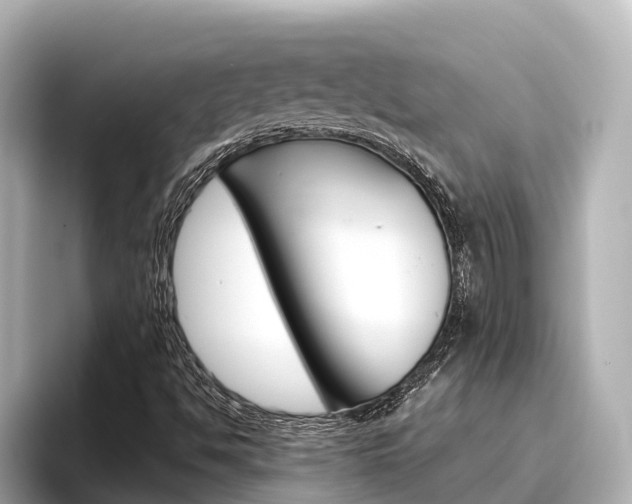 X0000096471494200801241127