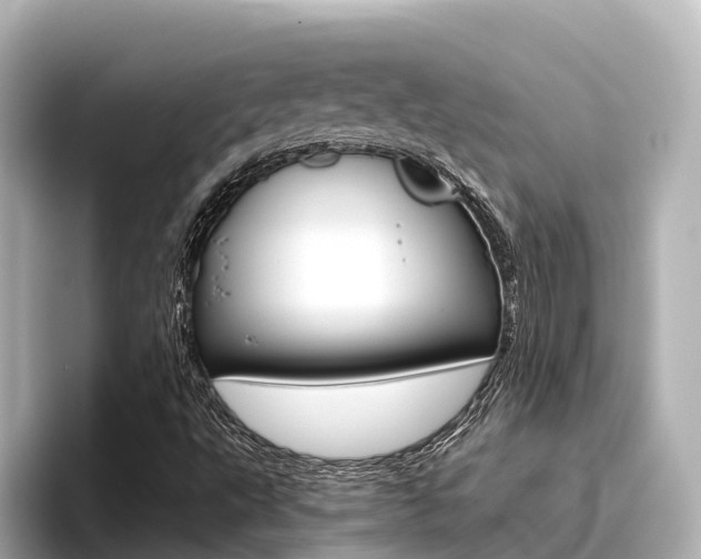 X0000096471495200801241127