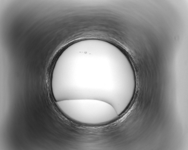 X0000096471498200801241127