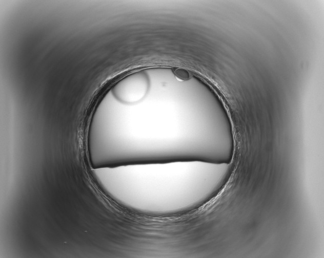 X0000096471499200801241127