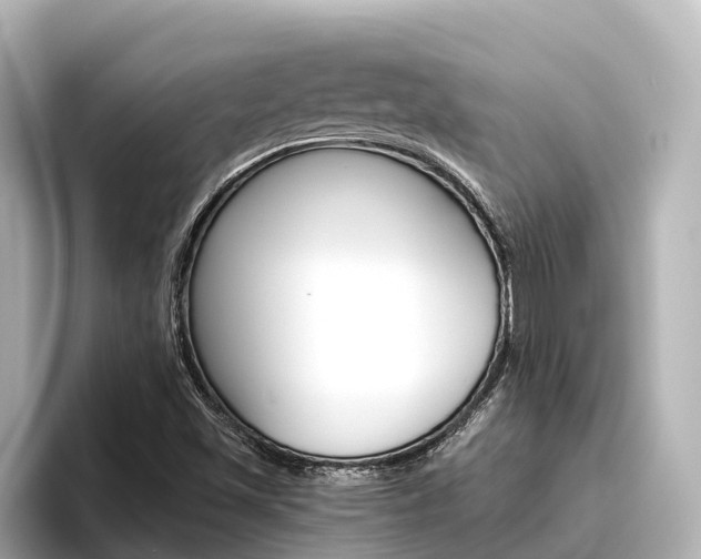 X0000096471501200801241127
