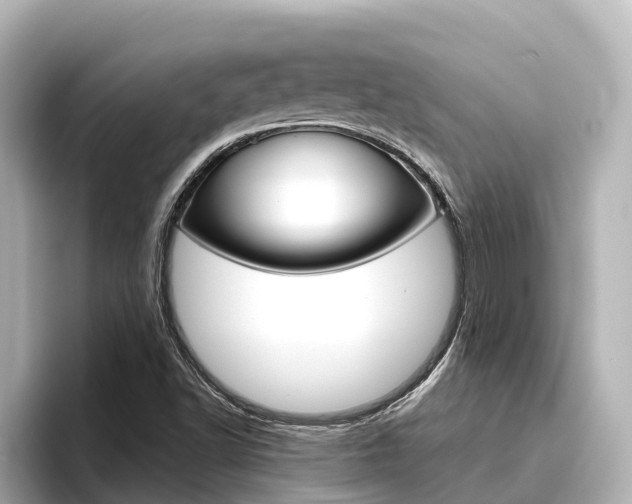 X0000096471502200801241127