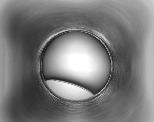 X0000096471504200801241127