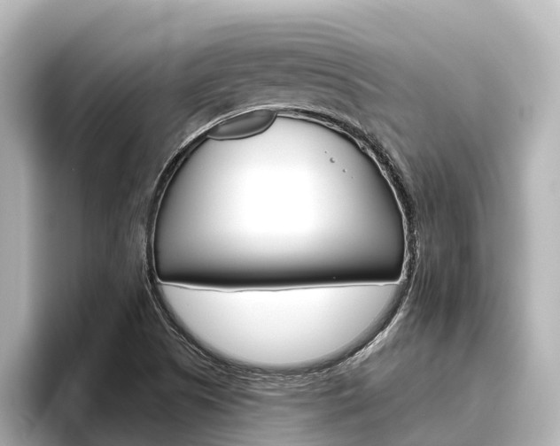 X0000096471505200801241127