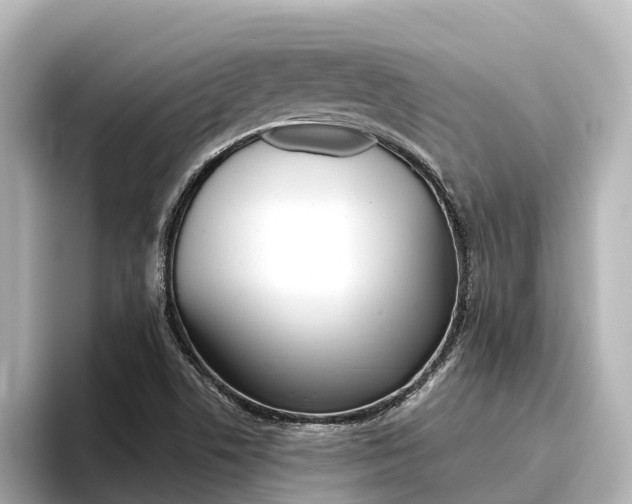 X0000096471506200801241127