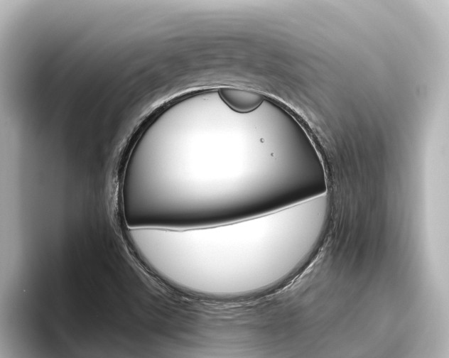 X0000096471507200801241127