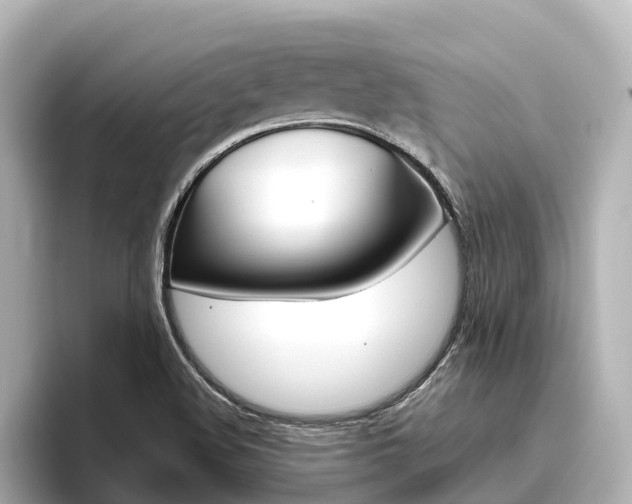 X0000096471508200801241127