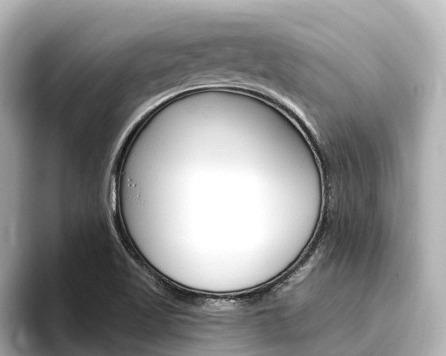 X0000096471509200801241127