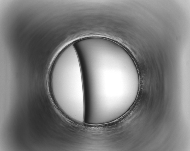 X0000096471511200801241128