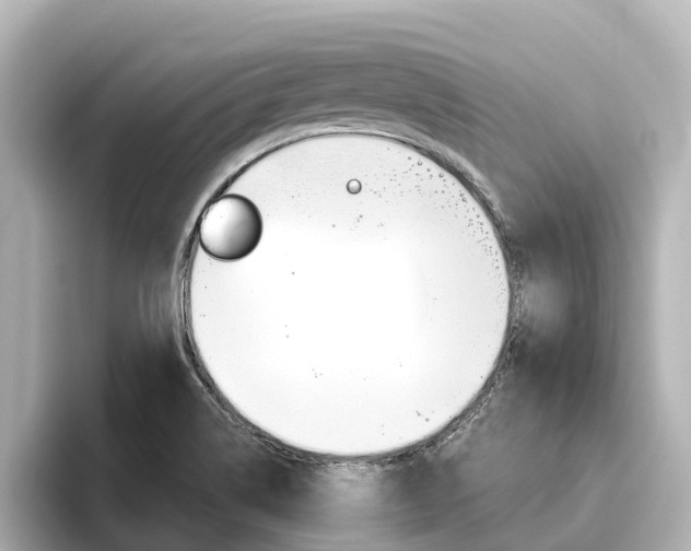 X0000096471514200801241128