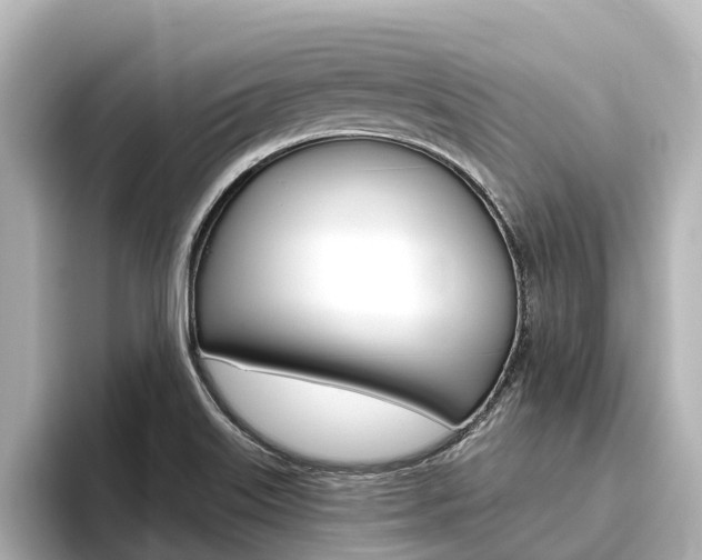 X0000096471515200801241128