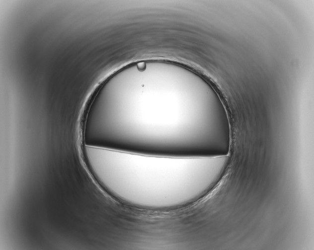X0000096471517200801241128