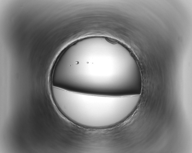 X0000096471519200801241128