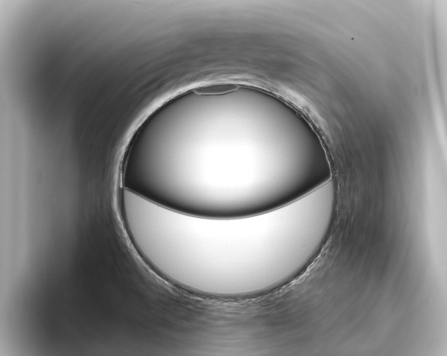X0000096471520200801241128