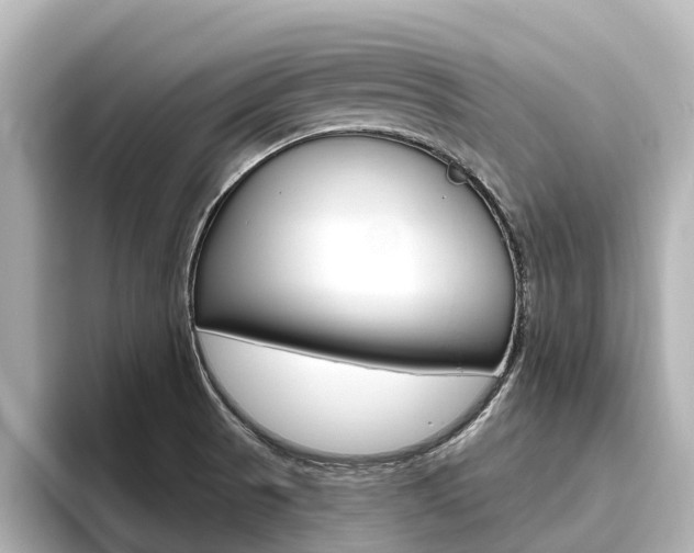 X0000096471521200801241128