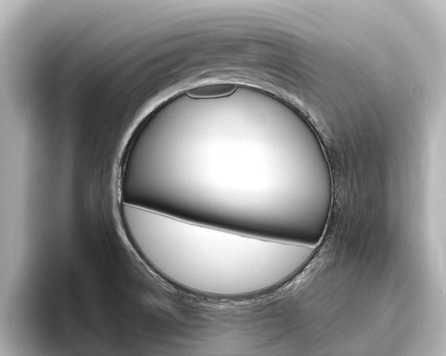 X0000096471522200801241128