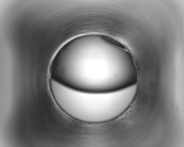 X0000096471524200801241128