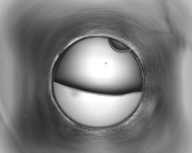X0000096471525200801241128