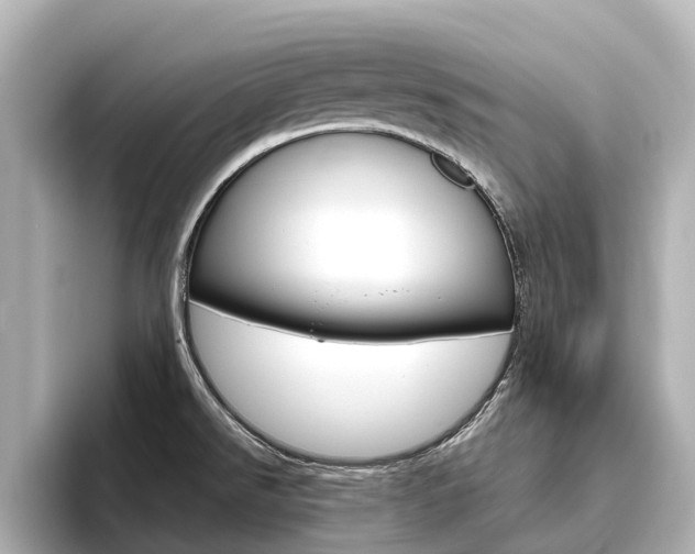 X0000096471526200801241128