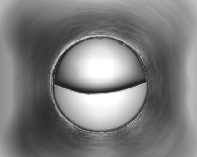 X0000096471527200801241128