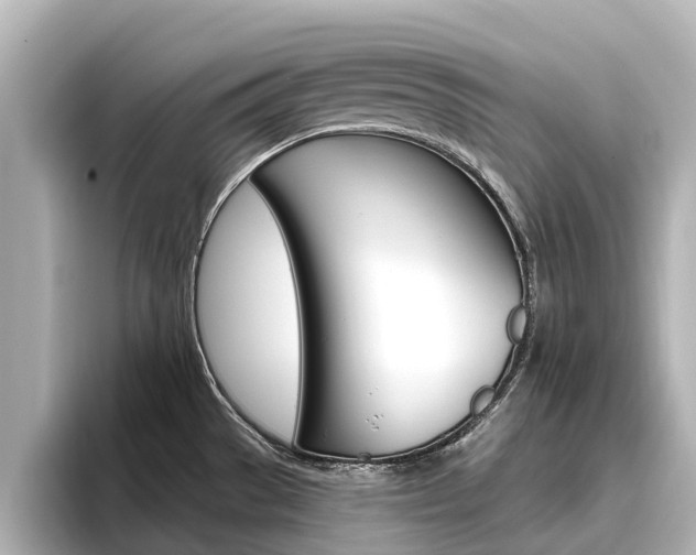 X0000096471529200801241128