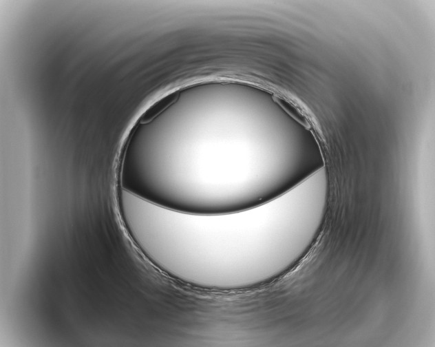 X0000096471530200801241128