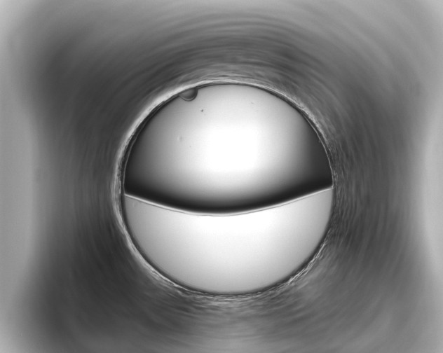 X0000096471531200801241128