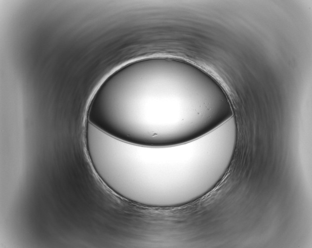 X0000096471532200801241128