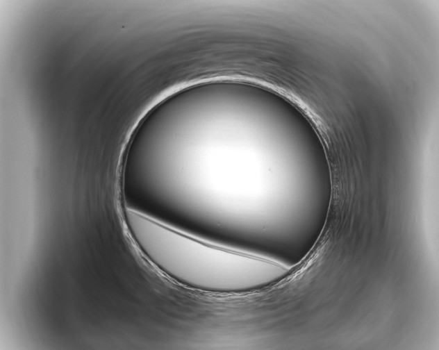 X0000096471534200801241128