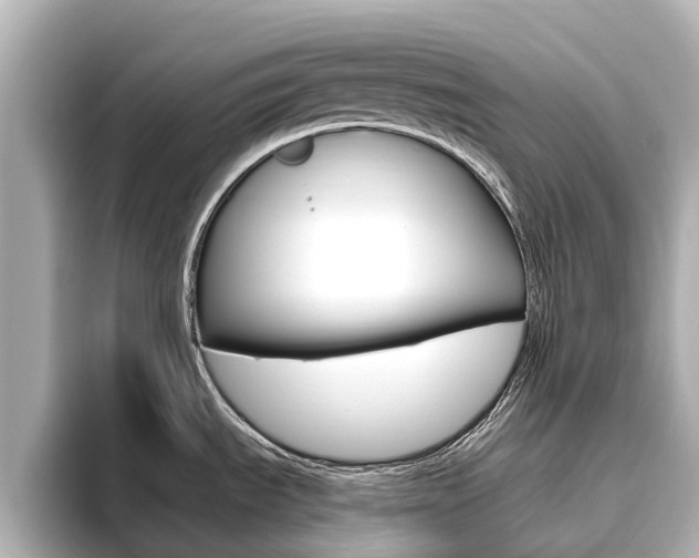 X0000096471535200801241128