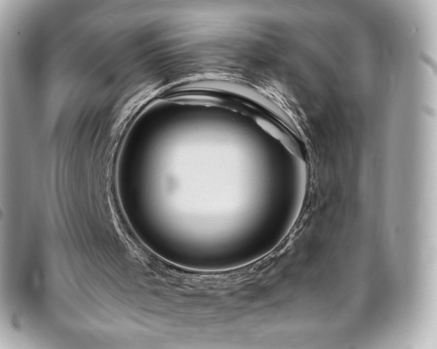 X0000096470001200801241439