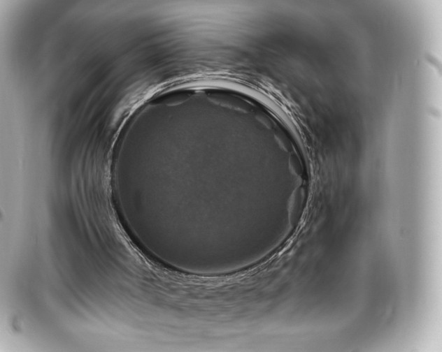 X0000096470002200801241439