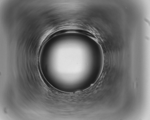 X0000096470003200801241439