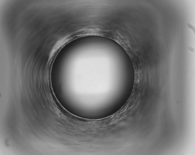 X0000096470004200801241439