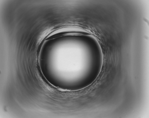 X0000096470005200801241439